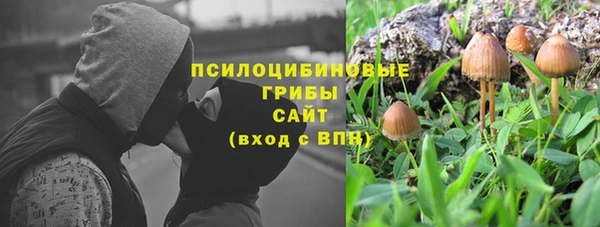 прущая мука Зеленодольск